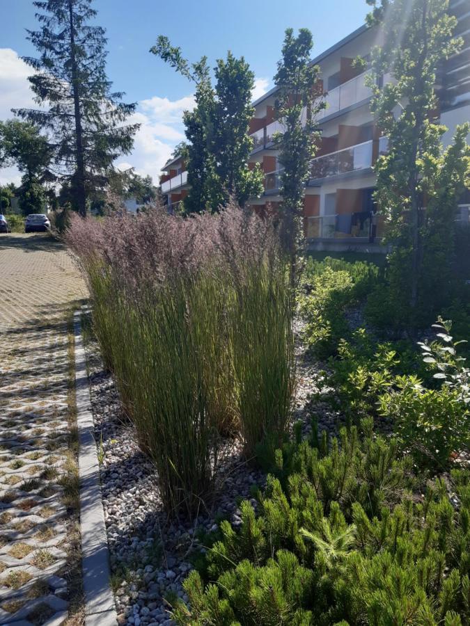 Aparthotel Residence Jastrzębia Góra Exterior foto